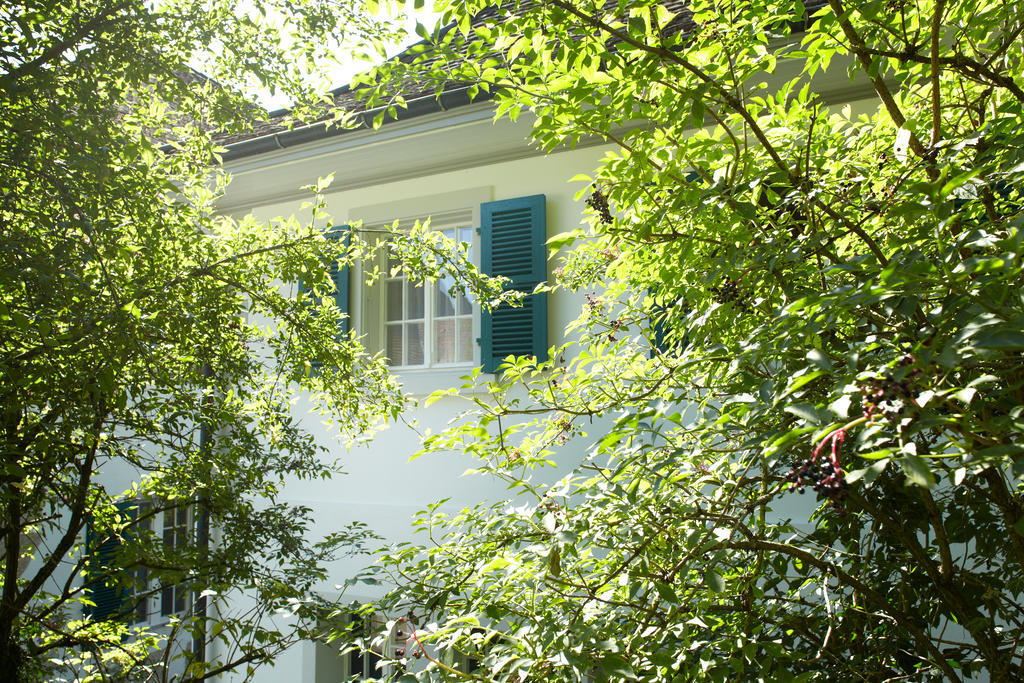 Chateau Attisholz Riedholz Kamer foto